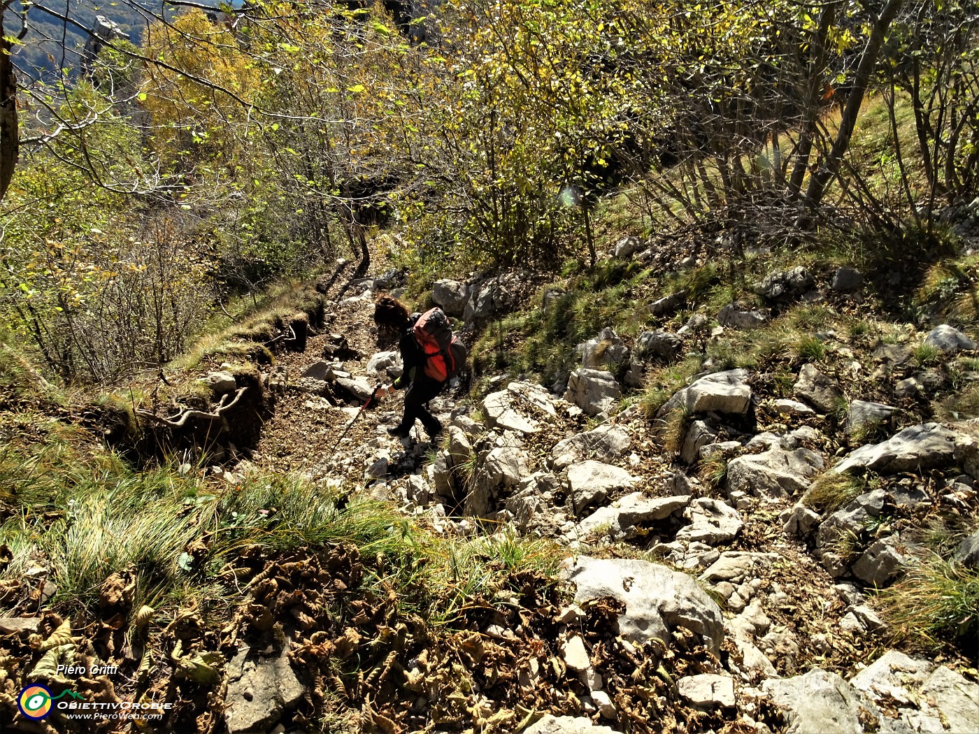 76 Sentiero delle Foppe per E, ma con numerosi tratti impegnativi nel bosco .JPG